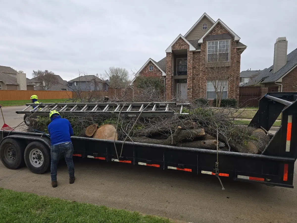 Expert Tree Pest Control with proper safety equipment in Lake Lillian